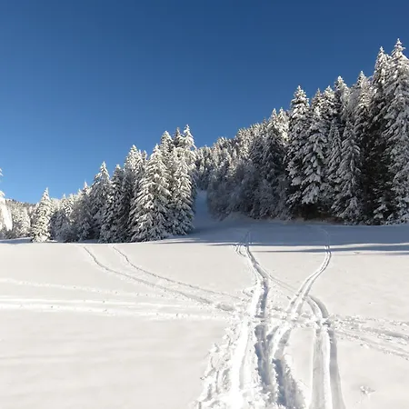 La Resilience, Sur La Piste De D'autrans Tatil Evi Autrans-Meaudre-en-Vercors